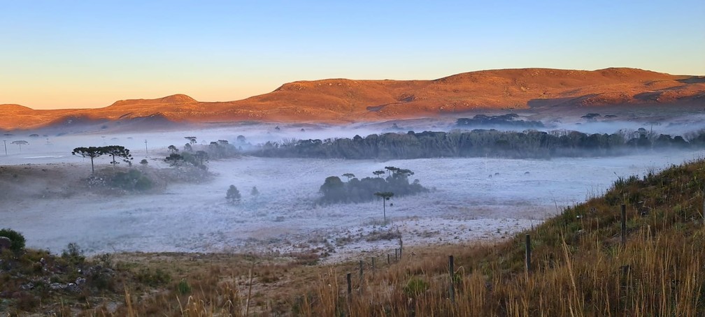 Fotos deslumbrantes: Geada cobre paisagens na Serra de SC e temperatura chega a -1,9ºC