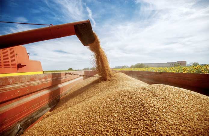 Isenção de imposto para importação do milho deve sair até o fim deste mês