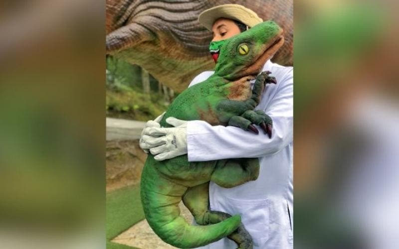 Bebê dinossauro “criado em laboratório” hiper realista fascina a criançada em parque de Pomerode