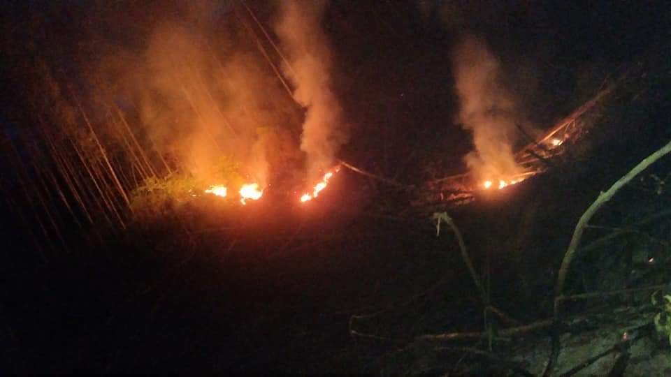 Incêndio é registrado em reflorestamento em Vitor Meireles