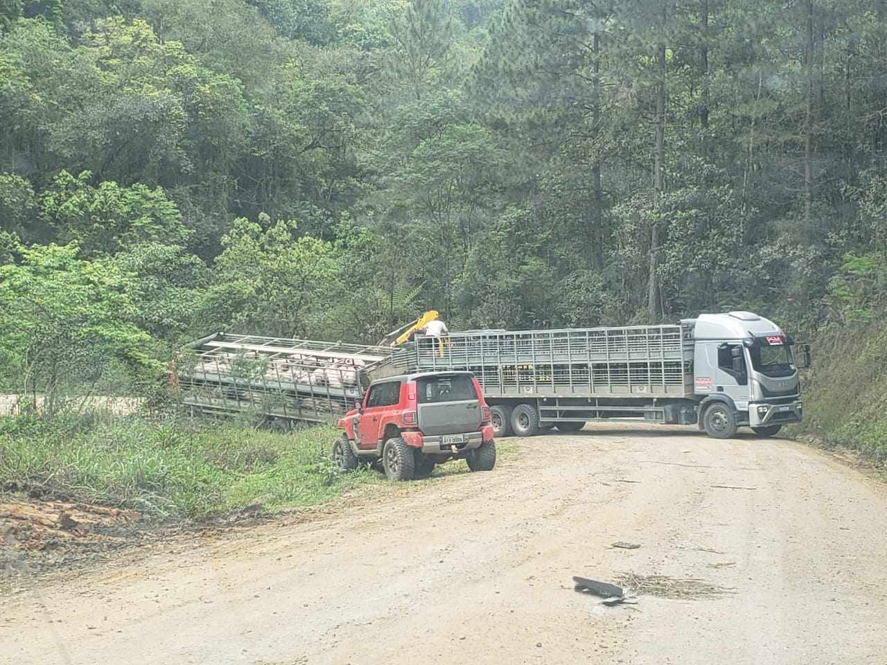 Caminhão carregado com porcos tomba no interior de Witmarsum