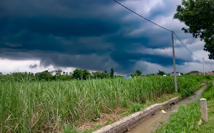 Pesquisas indicam impacto das mudanças climáticas a agricultura mundial