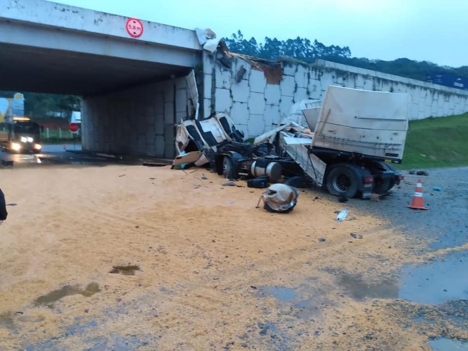 FOTOS: Caminhoneiro desvia de acidente e cai de viaduto na BR-101