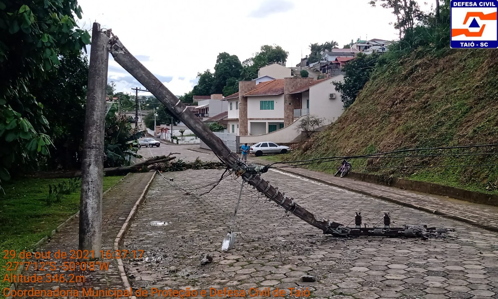 Ventania derruba árvores e poste em Taió
