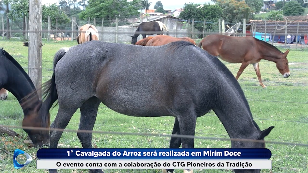 REPORTAGEM: Prefeitura Municipal de Mirim Doce realizará 1ª Cavalgada do Arroz