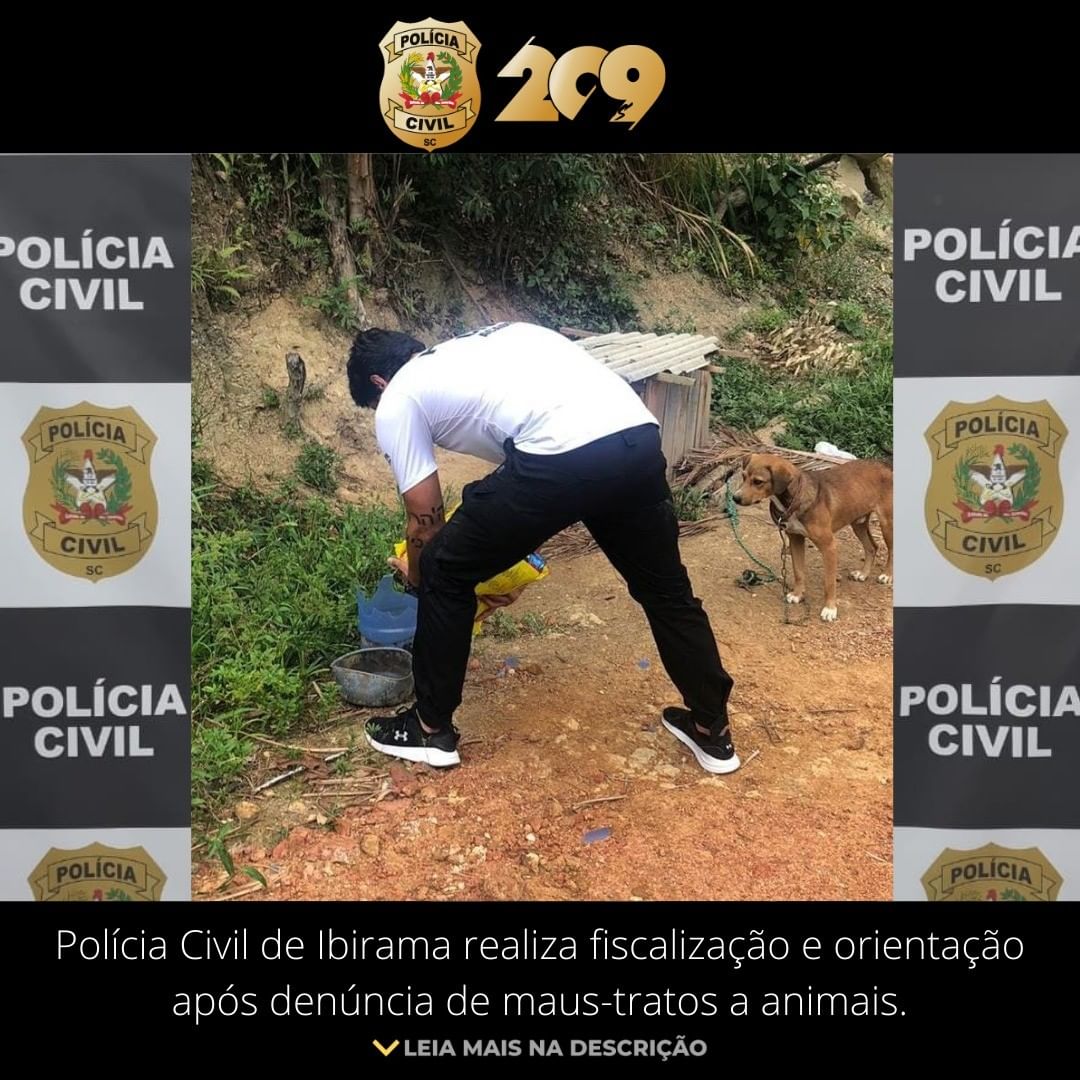Polícia Civil realiza fiscalização e orientação após denúncia de maus-tratos a animais