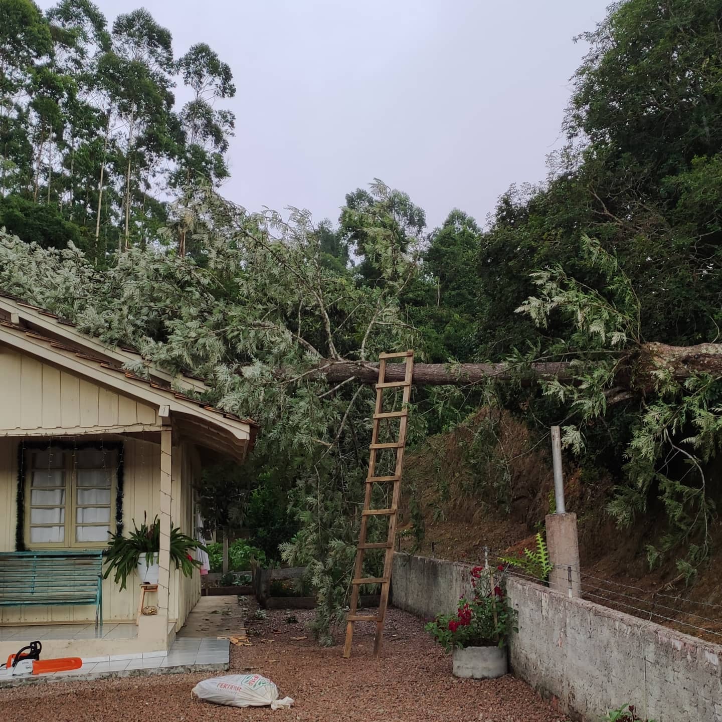 Árvore cai em cima de residência após temporal, no Alto Vale