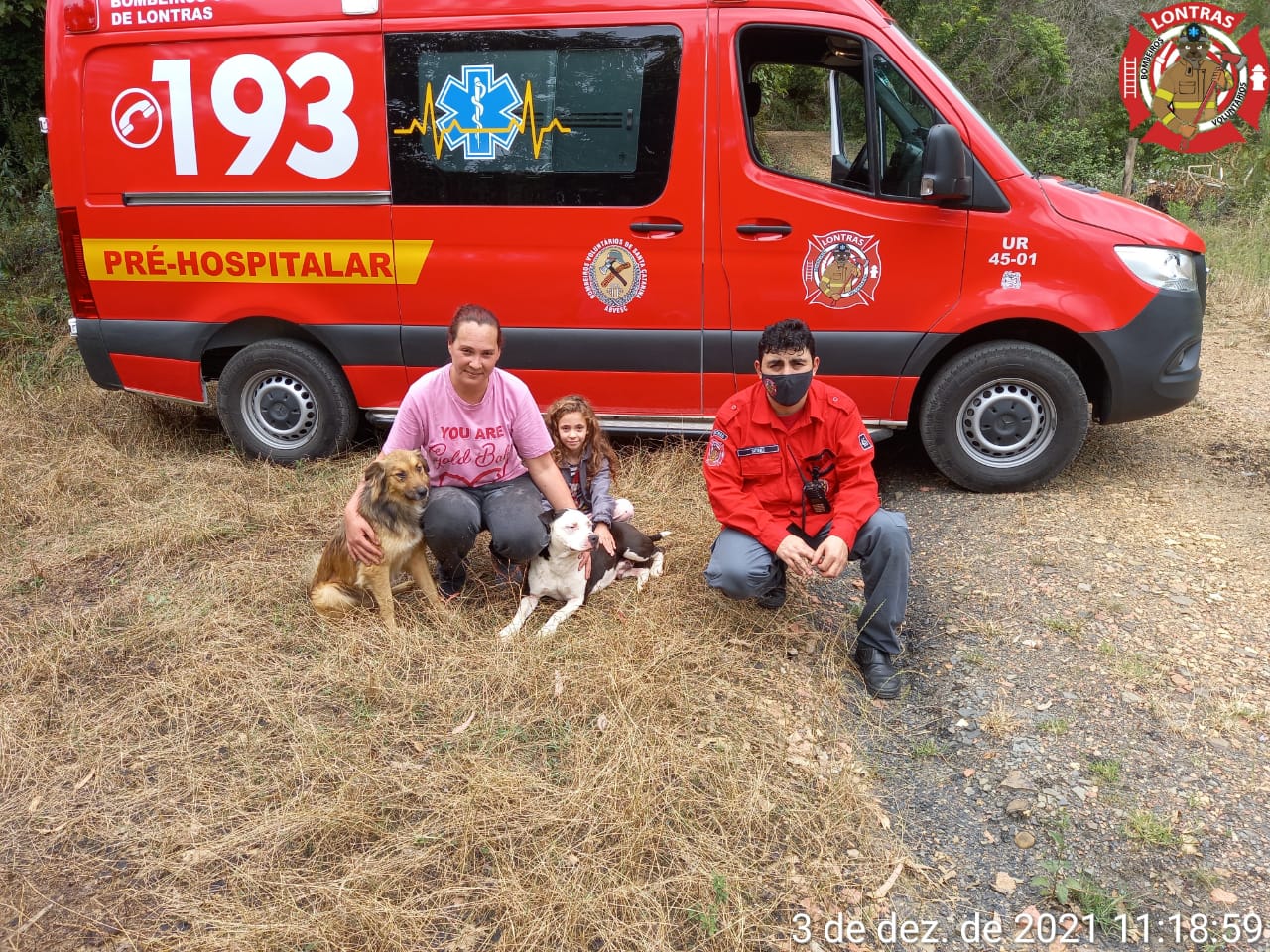 Bombeiros resgatam cachorros que estavam em local de difícil acesso, no Alto Vale