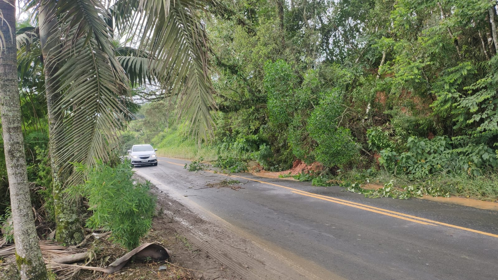 Deslizamento de terra deixa trânsito lento na SC-114 em Taió; veja as fotos