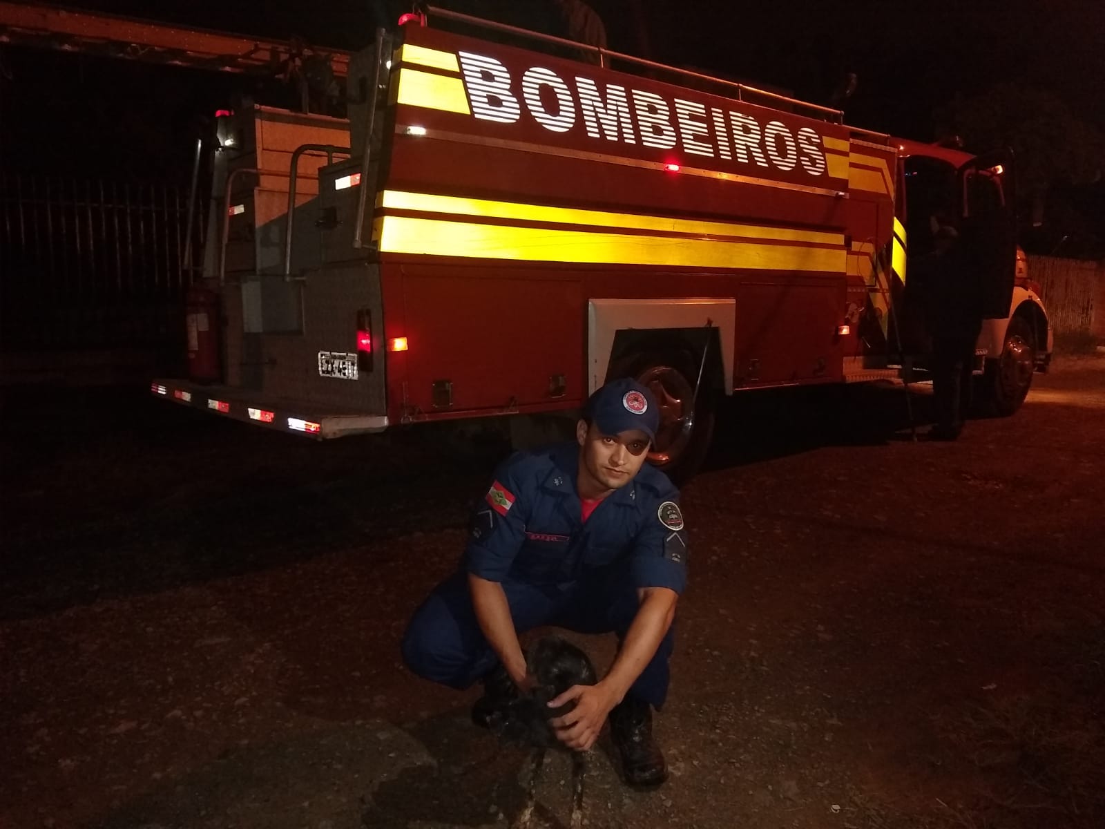 Fotos Bombeiros Resgatam Cachorro Que Caiu Em Poço Em Taió Rede Web Tv 