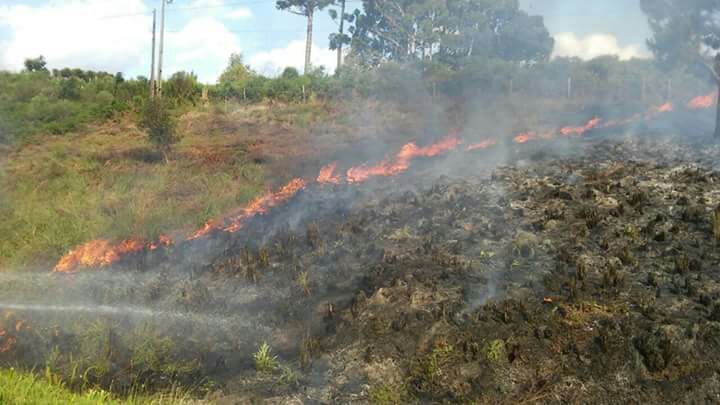 Incêndio em vegetação rasteira é registrada no Alto Vale