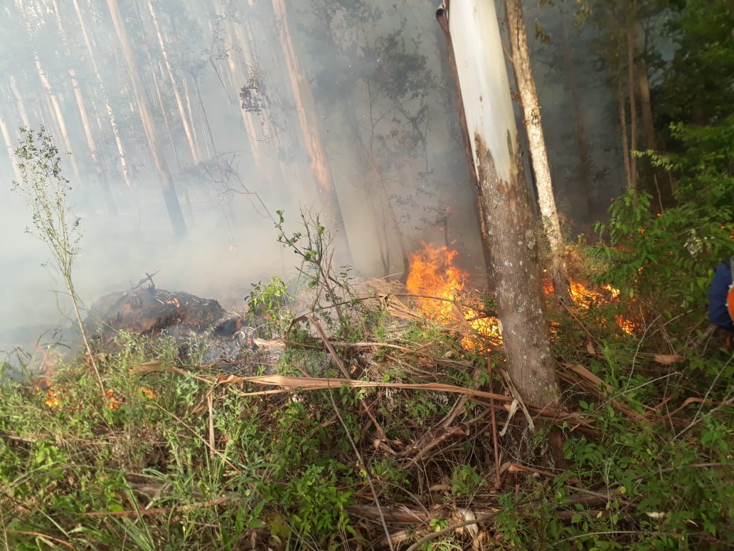 Incêndio florestal de grande porte é registrado no Alto Vale