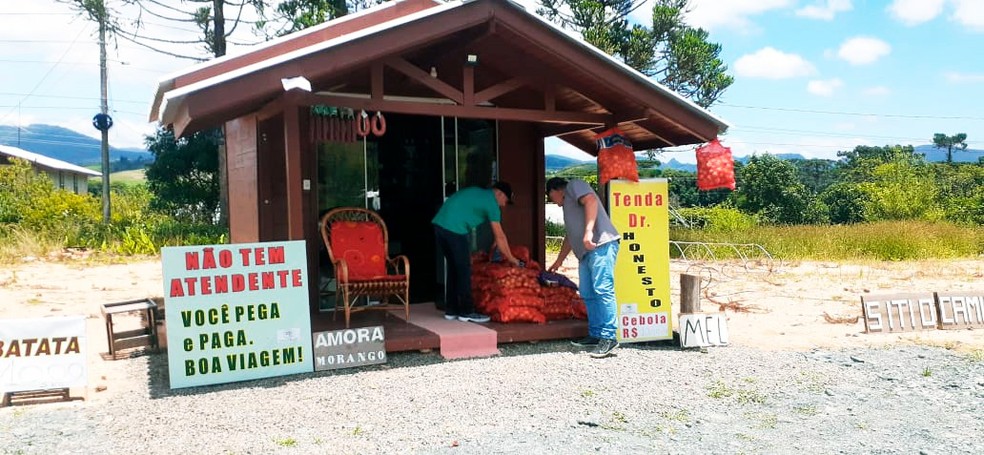 Agricultor abre tenda de produtos orgânicos sem vendedor na BR-282 em SC
