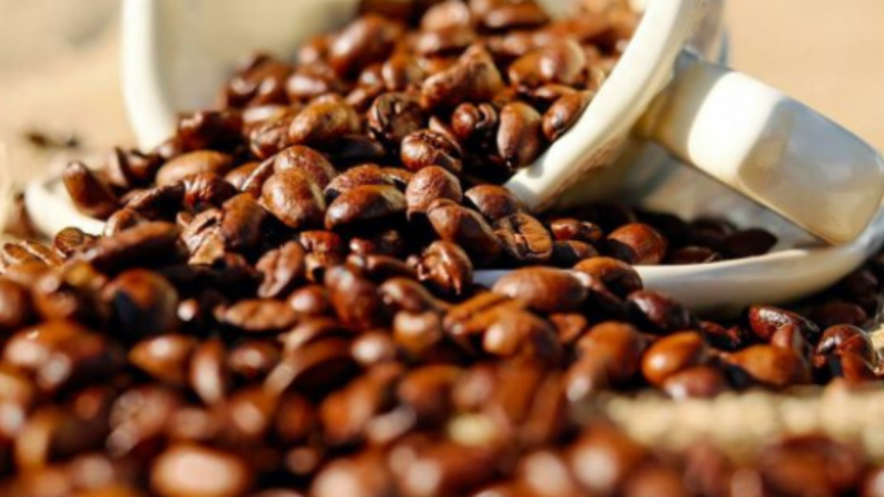 Safra de café deve registrar aumento de 16,8% em 2022