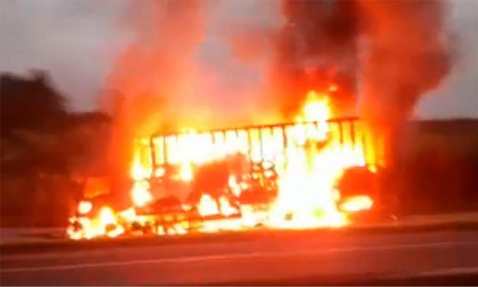Incêndio em caminhão na BR-101 mobiliza bombeiros de SC