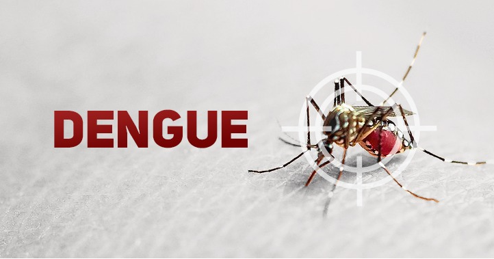 Confirmado mais um caso de dengue autóctone no Alto Vale