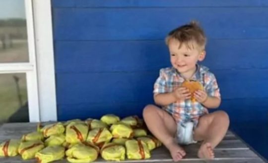 Criança de dois anos pede 31 hambúrgueres sem querer no celular da mãe