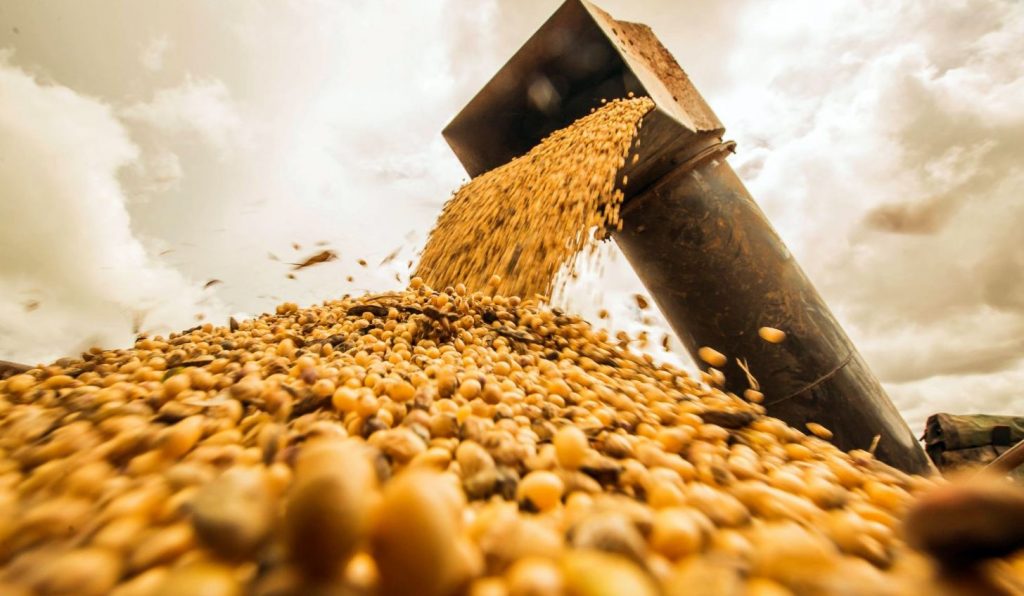 Safra de grãos pode ser a mais cara da história
