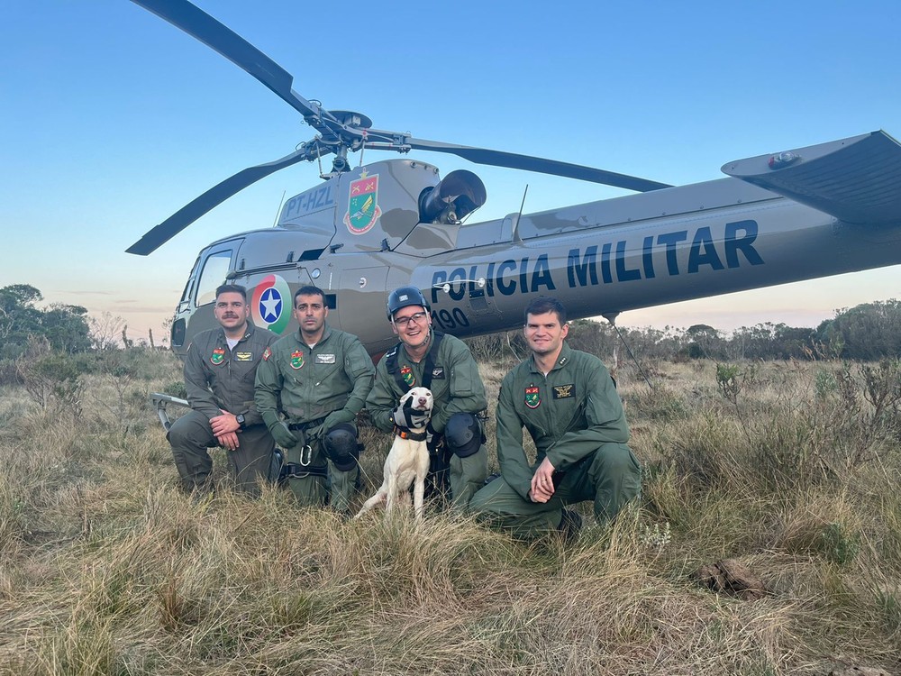Cão de caça é resgatado de helicóptero após cair 50 metros em cânion de SC