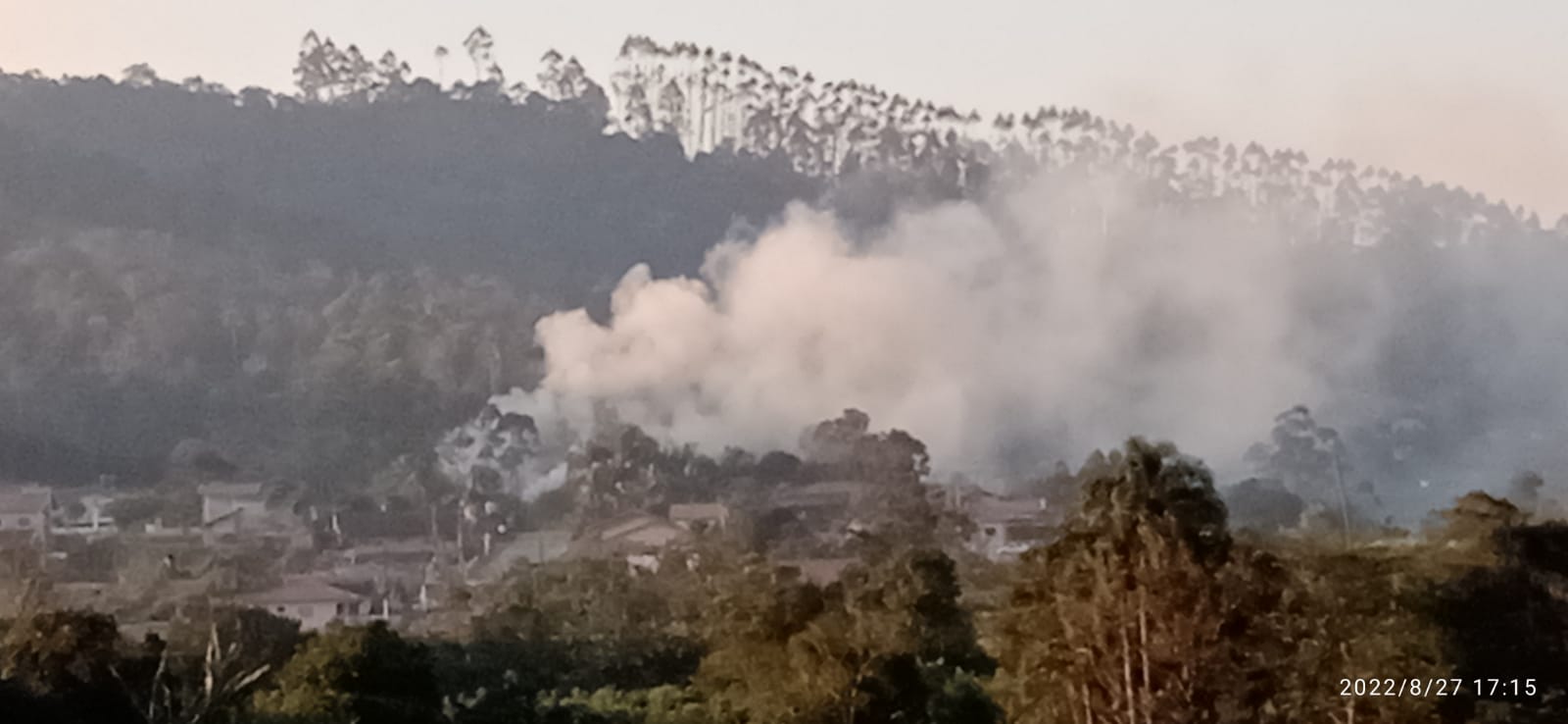 Bombeiros atendem incêndio em reflorestamento em Salete
