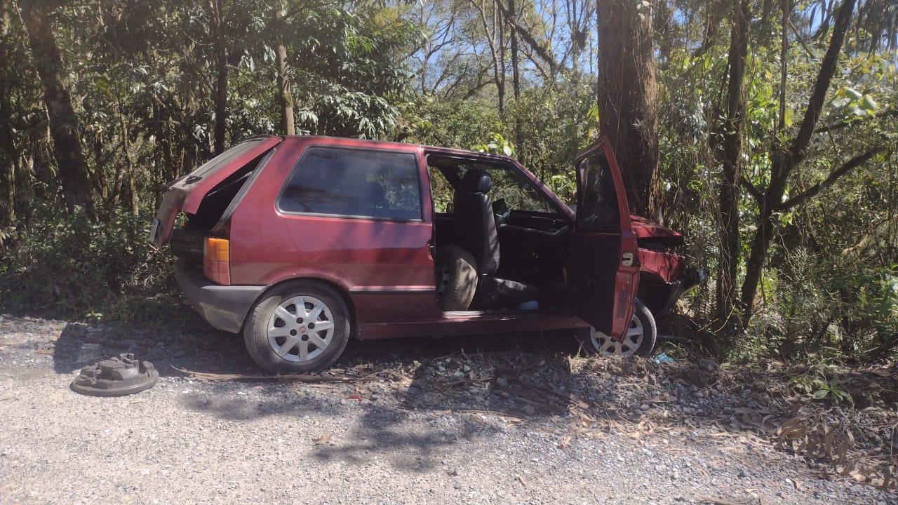 Carro furtado é encontrado batido em árvore e outro incendiado em Rio do Sul