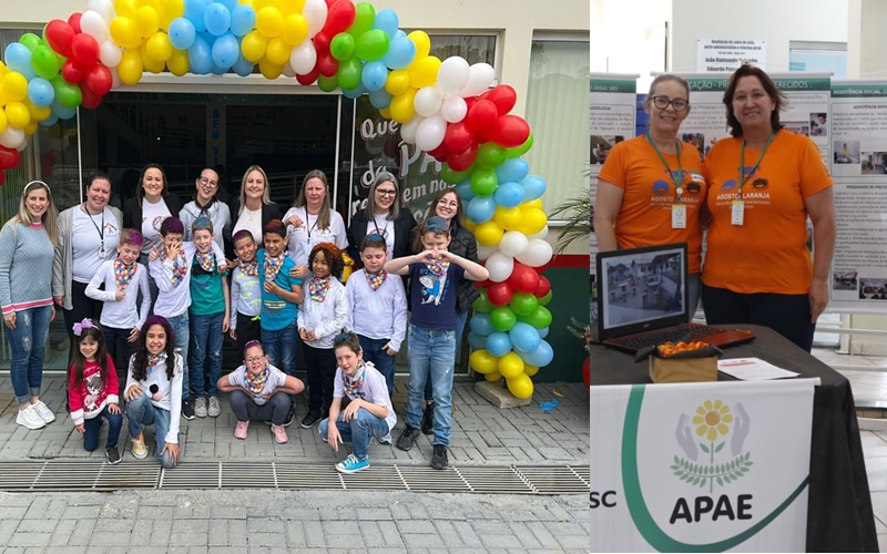 APAE e Casa do Autista de Agrolândia participam da Mostra Regional de Trabalhos da Educação Especial
