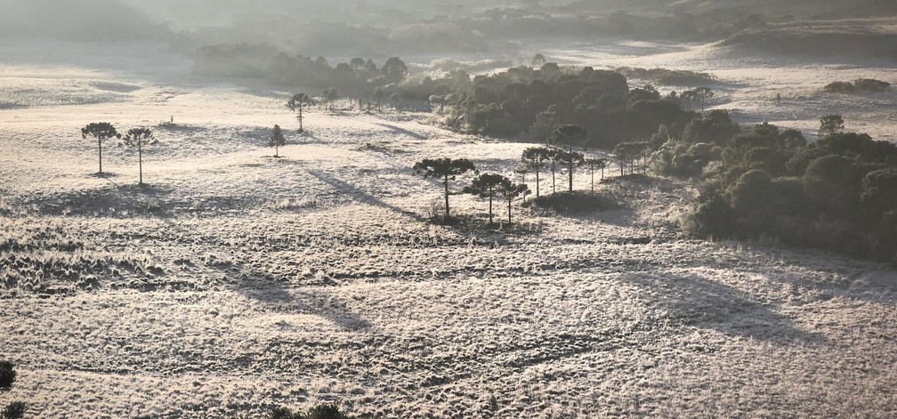 Geada deixa paisagem branca na Serra de SC