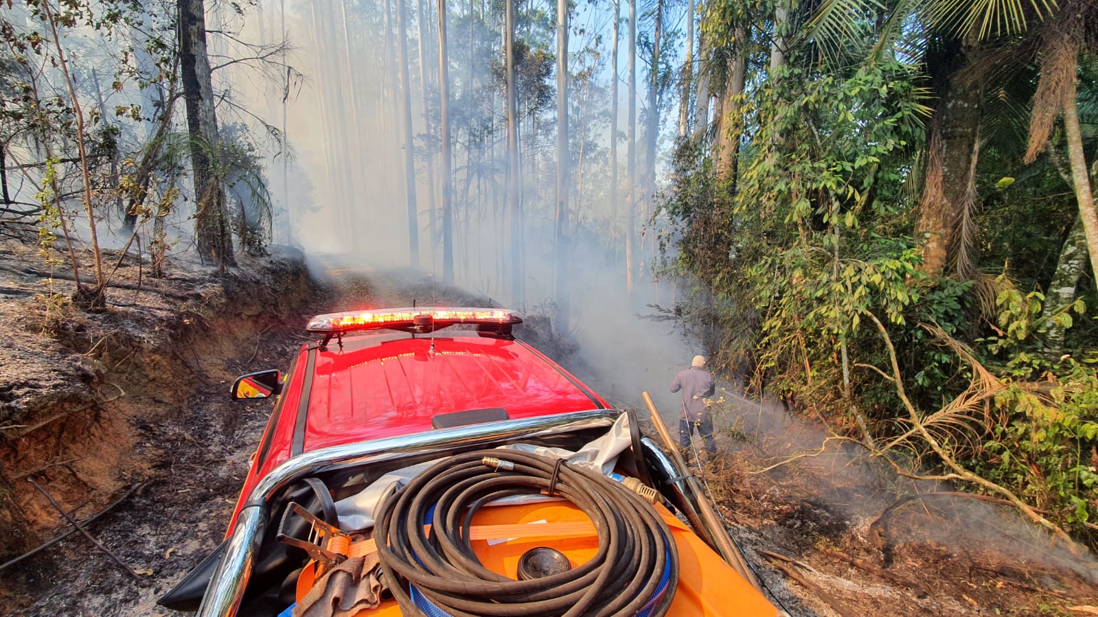 Bombeiros atendem quatro ocorrências de incêndio florestal no Alto Vale
