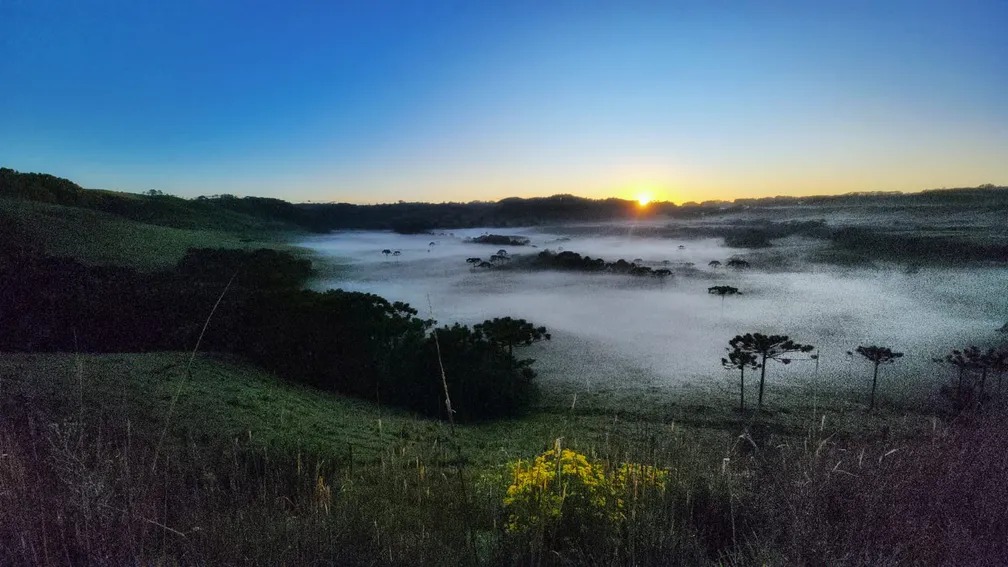 Serra de SC registra amanhecer com geada a menos de um mês para o verão