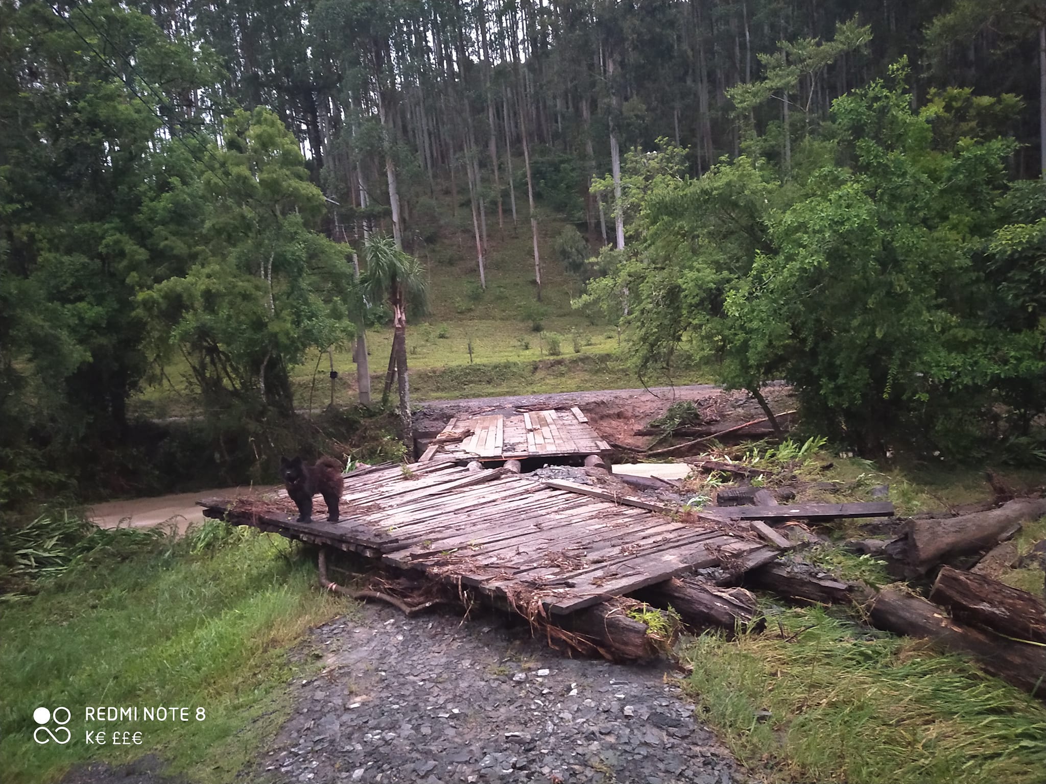 Forte chuva causa estragos na localidade de Serra dos Alves em Agrolânda