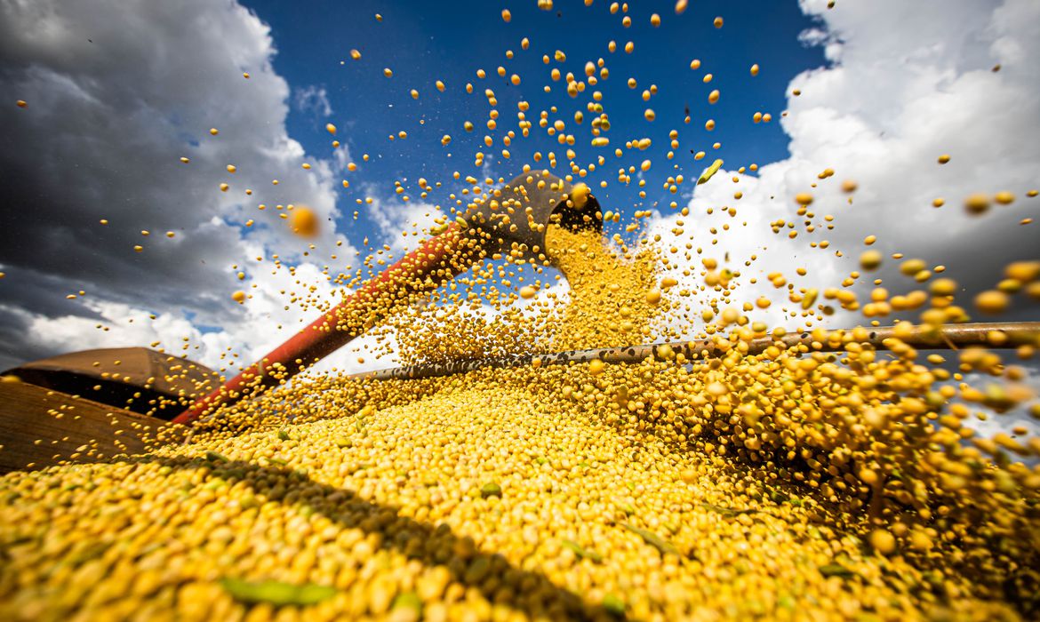 Safra brasileira vai superar 300 milhões de toneladas de grãos pela 1ª vez