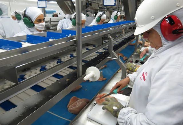 Frango: exportações de carne do Brasil crescem 10,6% no primeiro bimestre