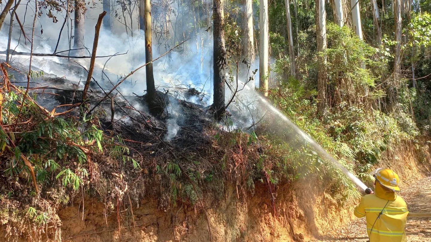 Com ajuda de populares, Bombeiros combatem incêndio em vegetação, em Vitor Meireles