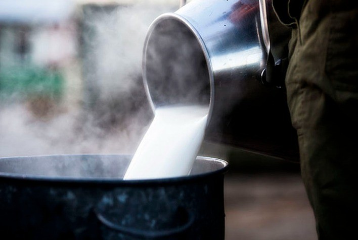 Brasil aumenta concentração, mas mantém volume de captação de leite