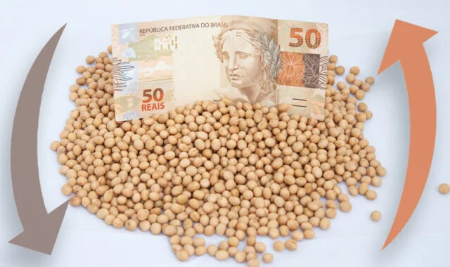 Preços da soja fecham em baixa na semana apesar da reação do dólar