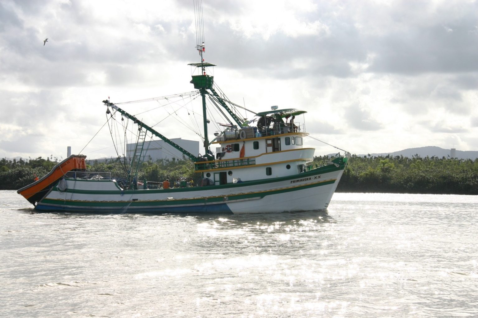 Santa Catarina pede revisão de cota de pesca da tainha para 2023