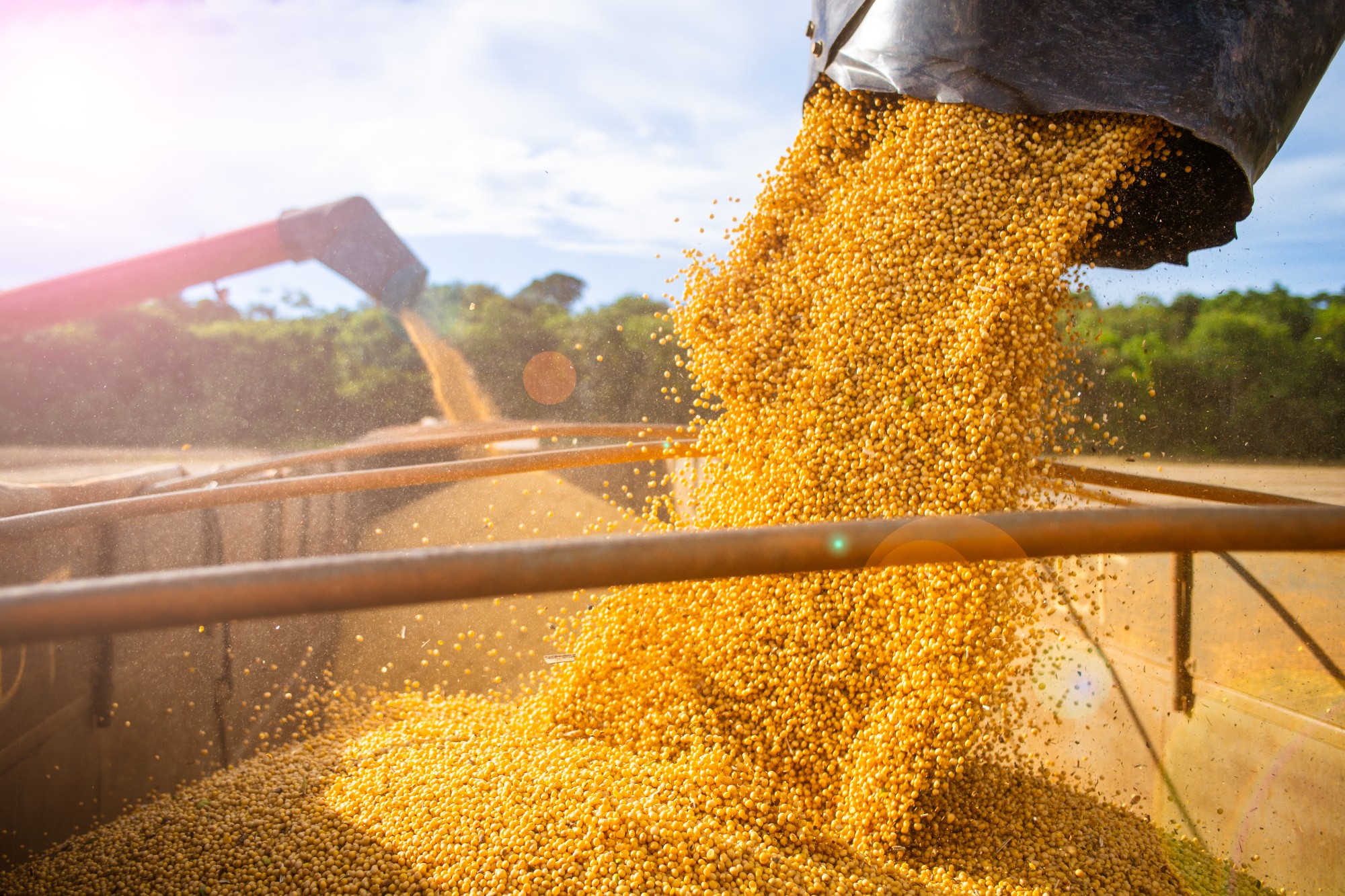 Anec eleva projeção para exportação de soja do Brasil em março