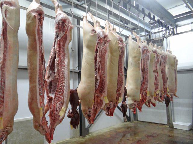 Carne suína: Brasil deve produzir mais este ano do que em 2022
