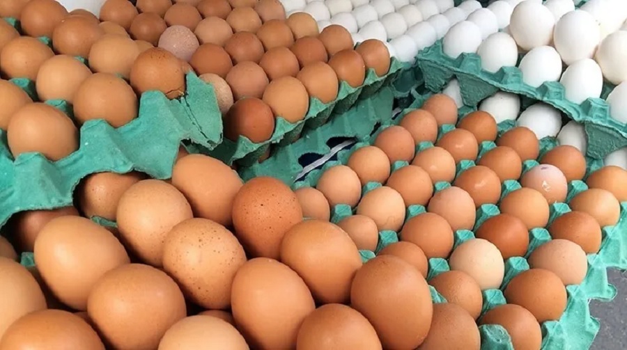 Ovo e leite têm aumento acima da inflação
