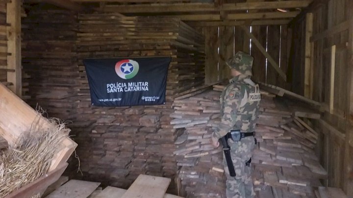 Polícia Militar Ambiental apreende madeira nativa em depósito na Serra Catarinense