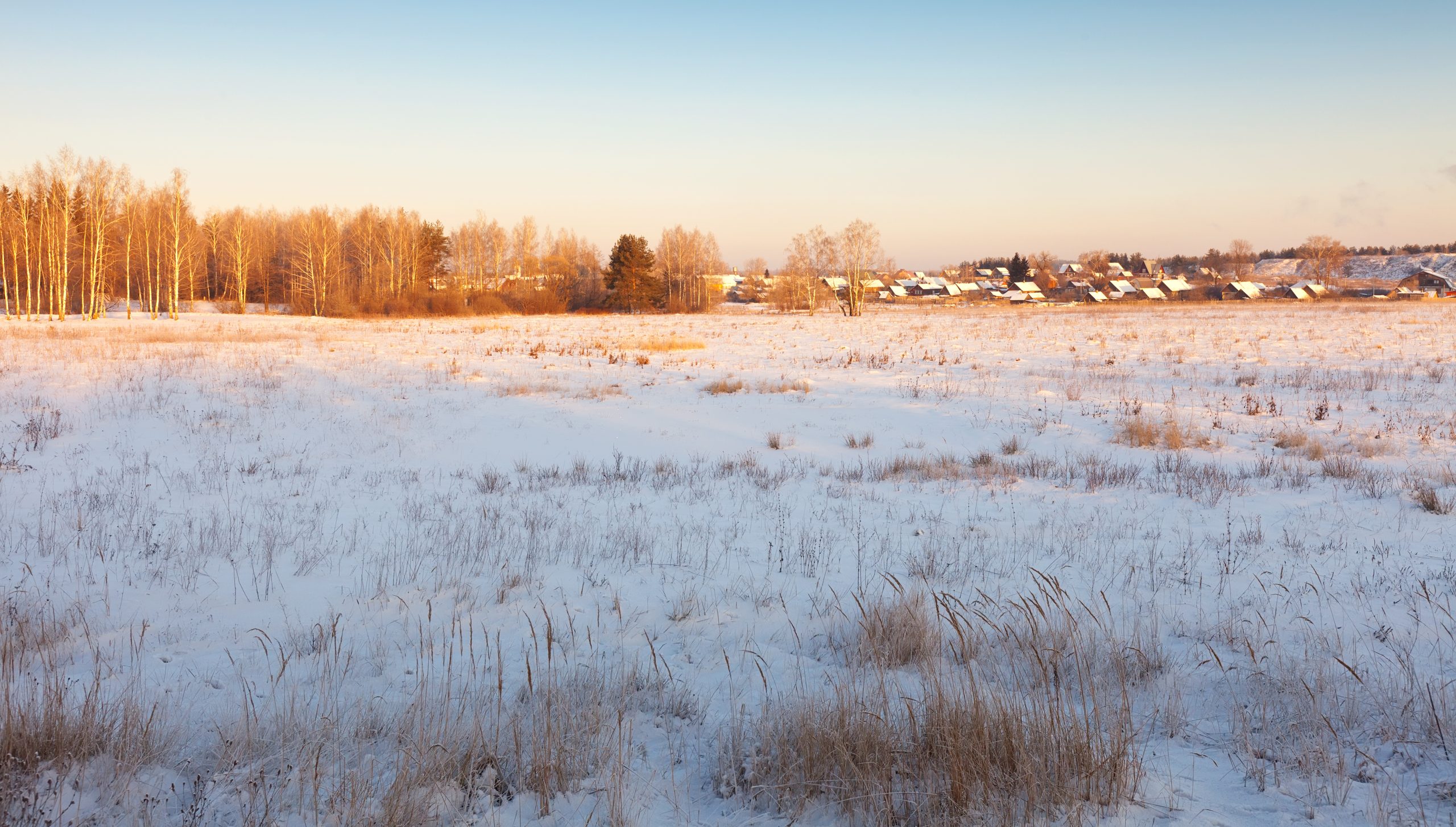 Onze municípios registraram temperaturas abaixo de zero nesta segunda-feira (19) em SC