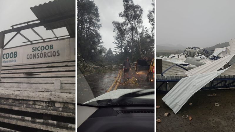 Forte temporal destelha estruturas, derruba árvores e causa destruição na Serra Catarinense