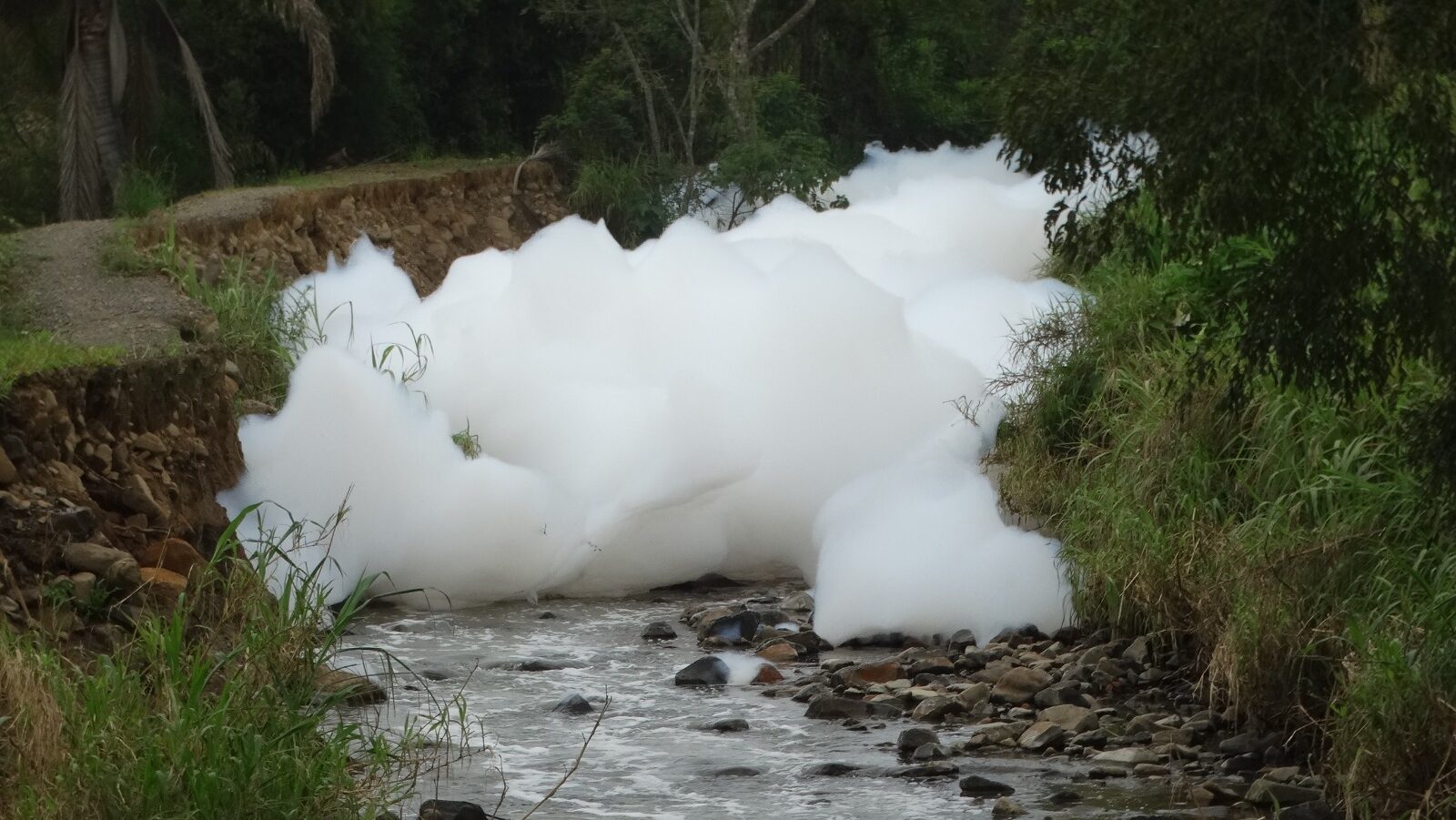 Meio Ambiente da Prefeitura averigua a fonte e o material que foi despejado no rio, em Pouso Redondo