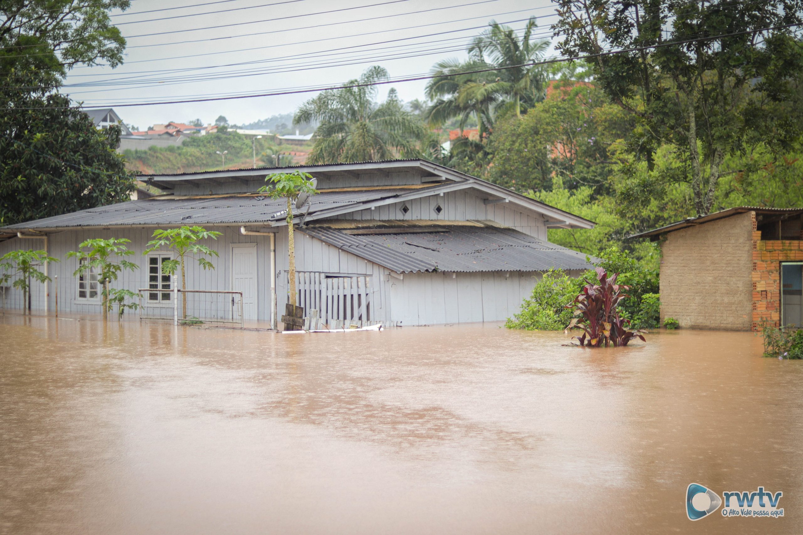 El Niño continuará até meados de 2024, ameaçando a agricultura