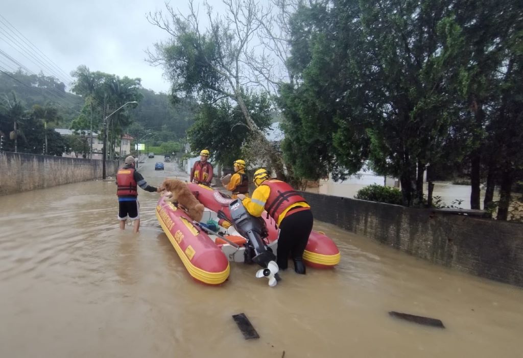 Enchente de Rio do Sul atingiu pico de 11,86 metros