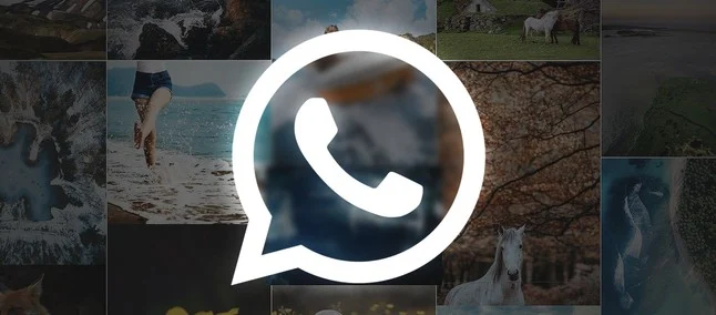 WhatsApp testa opção para que usuários compartilhem Status no Instagram