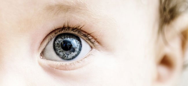 Inteligência Artificial (IA) pode diagnosticar o autismo infantil usando imagens dos olhos