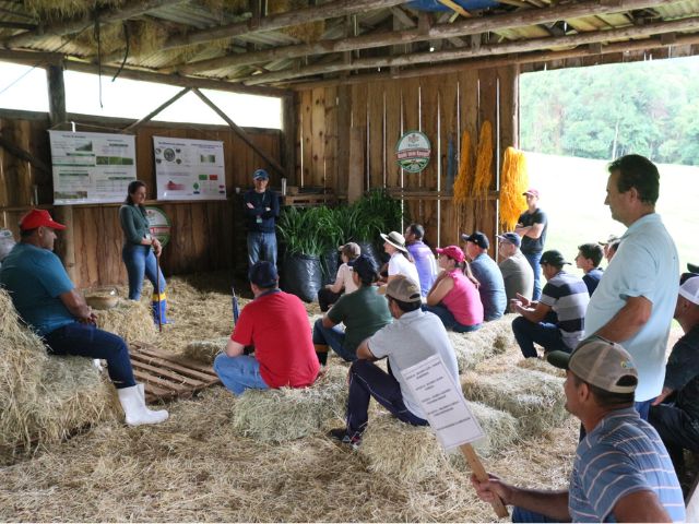 Epagri reúne 80 agricultores para Dia de Campo sobre produção de leite à base de pasto