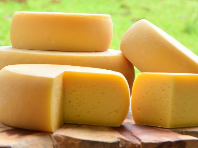 Conheça os melhores queijos artesanais de Santa Catarina