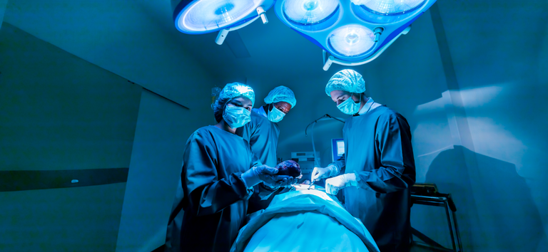 Brasil registra o maior número de transplantes de órgãos em dez anos